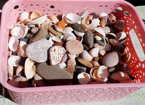 Sea stones and shells in a pink basket on a wooden board, Mediterranean Sea