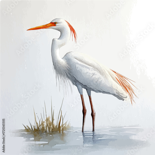 watercolor of Stilts, vector, isolated on a white background.