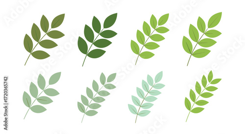 Cartoon grasshopper character in various poses with envelope and leaf, cute insect mascot for kids, nature, education, and storytelling