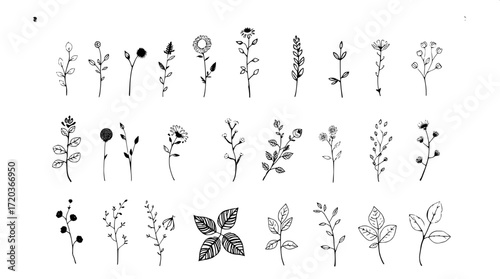 "Minimalist botanical line art collection, drawn in black ink with thick, textured strokes. Displayed overhead in three rows, the illustrations depict natural forms of plants, vines, and leaves agains