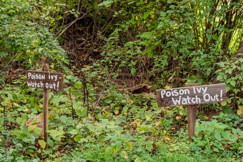 Poison Ivy, Watch Out! Cromwell Valley Park, MD