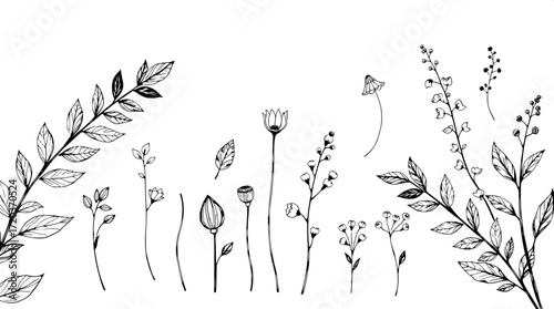 A clean flat lay of intricate hand-drawn black-and-white plant illustrations, meticulously arranged in evenly spaced rows on a neutral background. The sketch style emphasizes delicate texture and subt