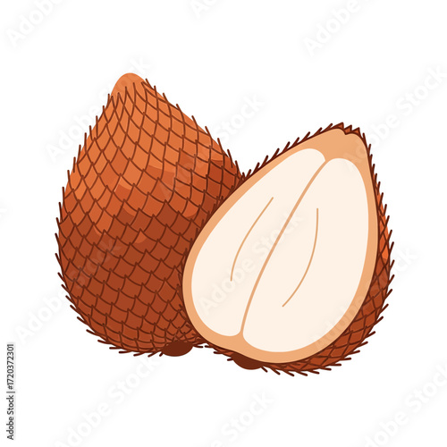 Illustration of two salak fruits, one whole and one cut in half, showing the white flesh and brown scaly skin.