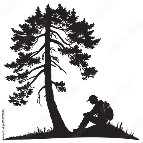Hiker resting under pine tree silhouette