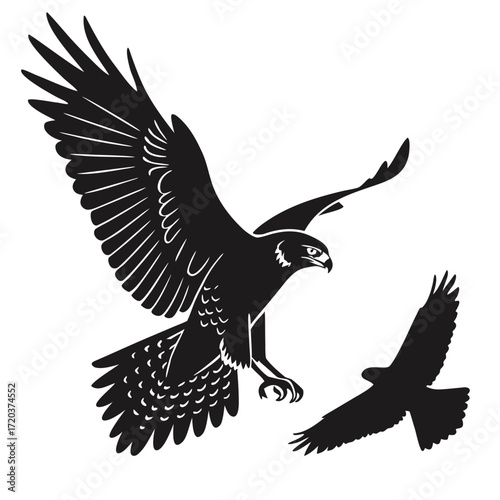 Falcon swooping toward prey silhouette
