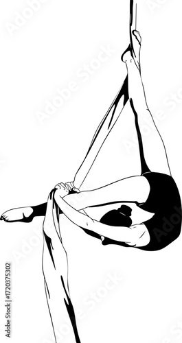 A girl is performing exercises on an aerial silks. Vector illustration.