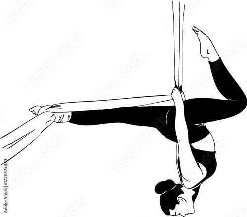 A girl is performing exercises on an aerial silks. Vector illustration.