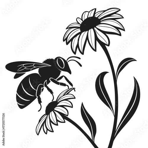 Bee visiting sunflower silhouette