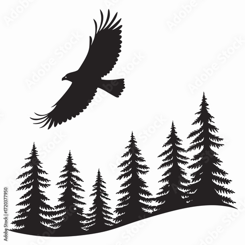 Falcon gliding above forest silhouette