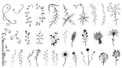 "Hand-drawn pen-and-ink botanical designs arranged in rows. The illustrations feature twisting vines, drooping leaves, and clustered plants, rendered with varied textures and shading on a white backdr