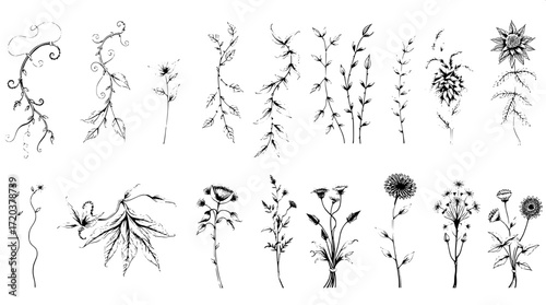 "Hand-drawn pen-and-ink botanical designs arranged in rows. The illustrations feature twisting vines, drooping leaves, and clustered plants, rendered with varied textures and shading on a white backdr