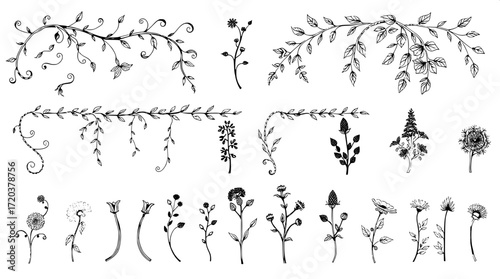 "Hand-drawn pen-and-ink botanical designs arranged in rows. The illustrations feature twisting vines, drooping leaves, and clustered plants, rendered with varied textures and shading on a white backdr