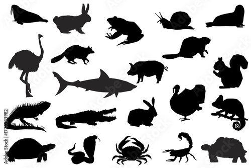 set of animals silhouettes