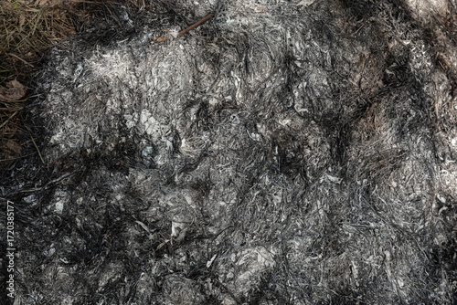 Close-up of burnt grass and ash, showing charred plant material and grey-black textures after a fire in a natural outdoor environment.