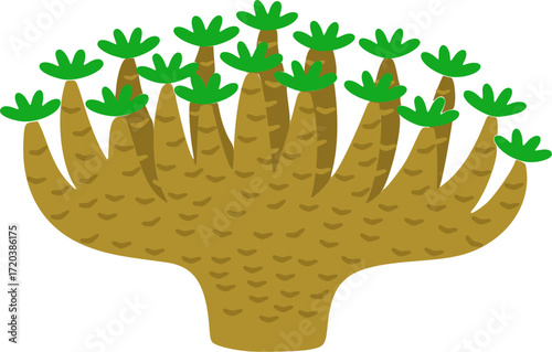 Uncarina grandidieri Illustration – Girauminianna Caudiciform Plant Vector
