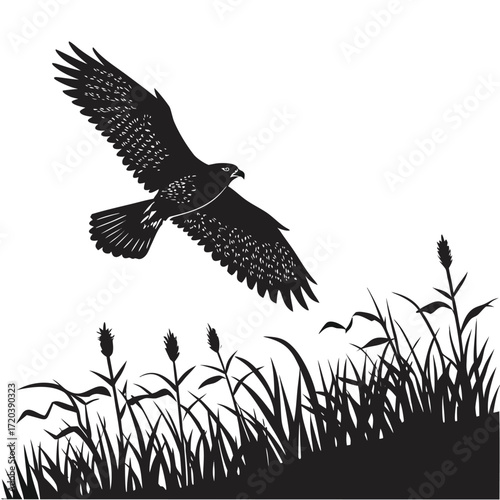 Falcon hovering above field silhouette