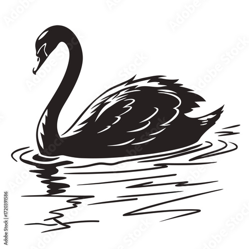 Swan gliding through calm water silhouette