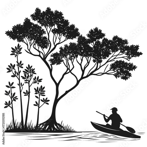 Kayaker gliding past mangroves silhouette