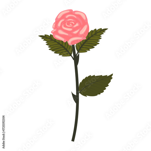 Delicate pink rose. Lush flower on a slightly inclined stem. Vector illustration isolated on a white background.