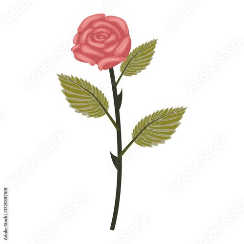 Dusty pink rose. Lush flower on slightly inclined stem. Vector illustration isolated on white background.