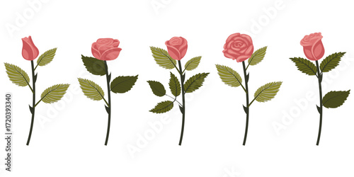 Set of dusty pink roses. Five flowers on slightly inclined stems. Vector illustration isolated on white background.