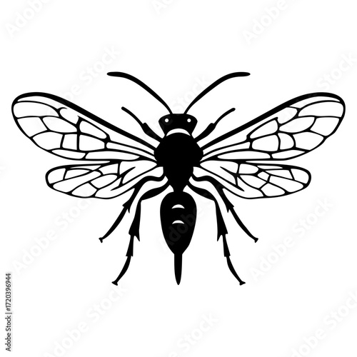 Mist crawl wasp silhouette on white background