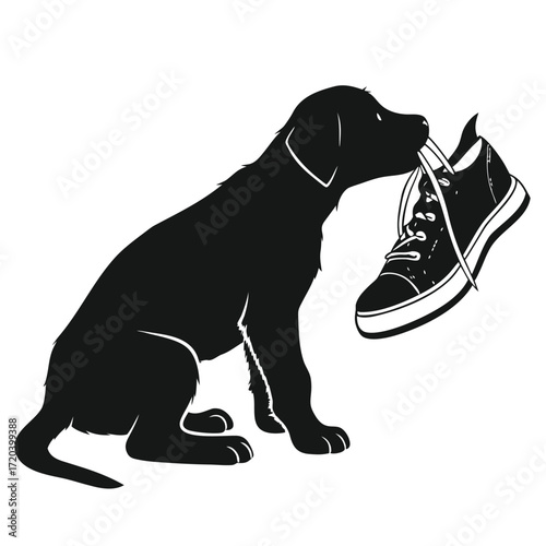 Puppy chewing shoe silhouette