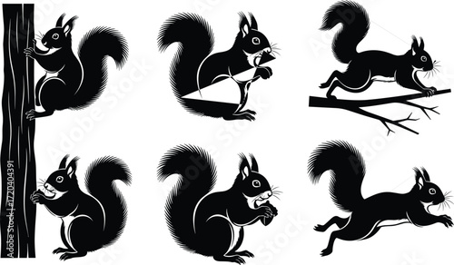 squirrel, animal, silhouette, climb, sit, run, leap, crouch, icon, vector, illustration, black, white, nature, forest, anatomy, behavior, wildlife, tail, design