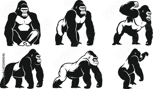 gorilla, primate, animal, silhouette, sit, stand, walk, flex, icon, vector, illustration, black, white, jungle, anatomy, behavior, wildlife, ape, strength, design