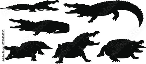 crocodile, alligator, reptile, animal, silhouette, swim, crawl, crouch, roar, strike, jaw, teeth, icon, vector, illustration, black, white, predator, swamp, wildlife, designvv
