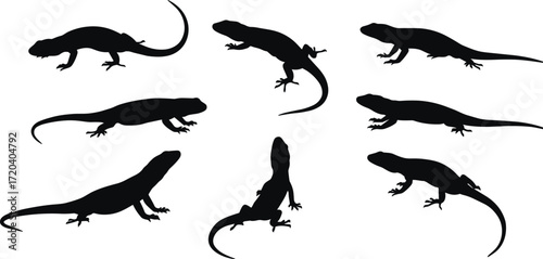 lizard, animal, silhouette, reptile, crawl, climb, stand, rest, icon, vector, illustration, black, white, nature, desert, anatomy, behavior, wildlife, tropical, gecko, design