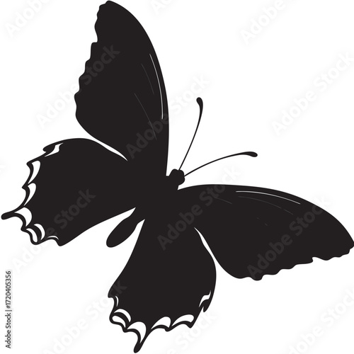 Butterfly in mid-flight silhouette