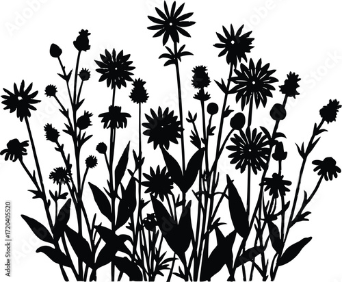 Prairie Wildflowers Silhouette | Scenic Nature Vector
