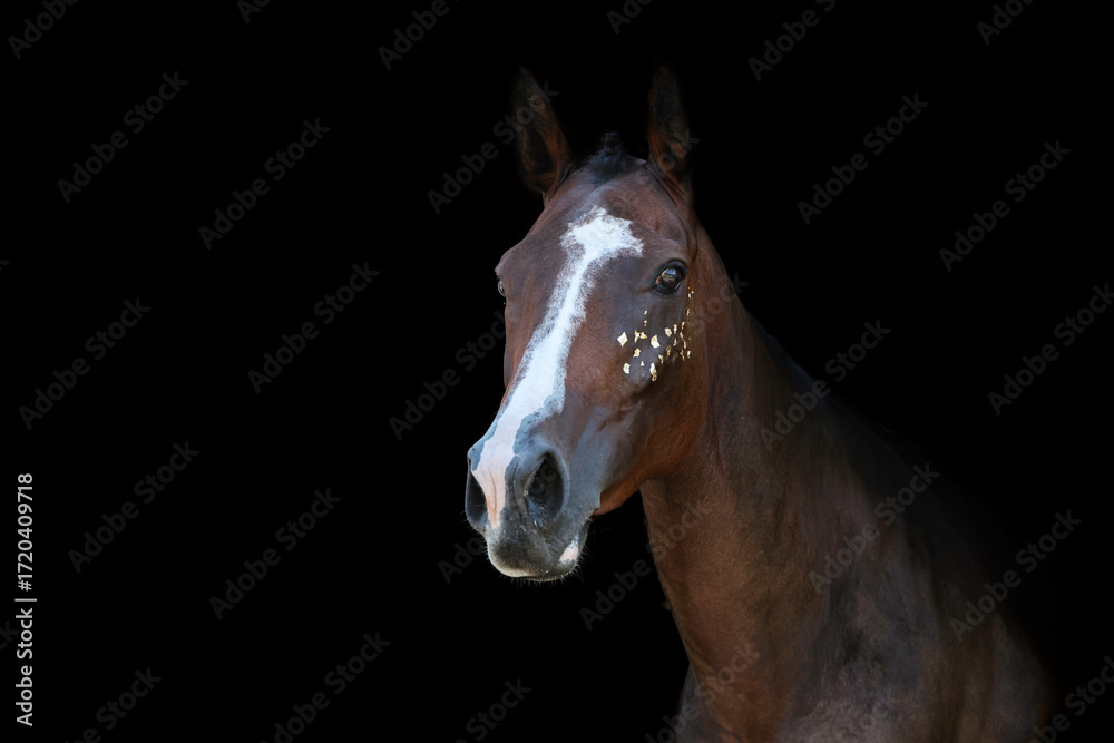 Obraz premium Cheval doré