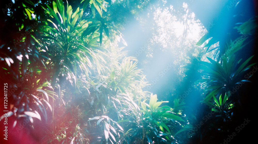 Fototapeta premium Enjoy the verdant charm of a jungle canopy, designed for nature-inspired art and tropical decor displays