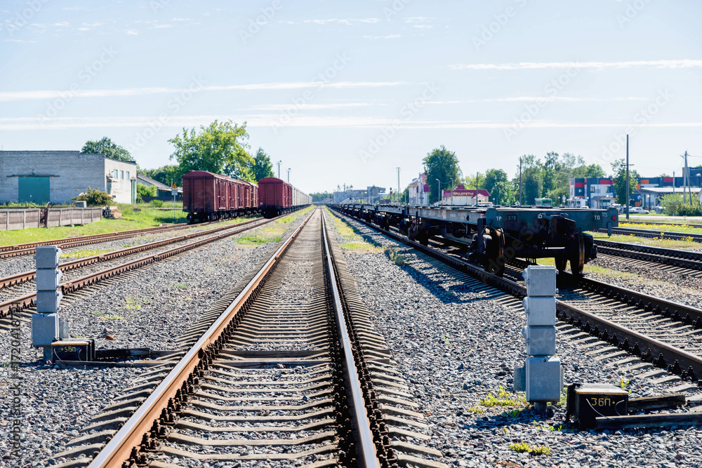 Fototapeta premium Train Tracks Through Forest in sunny day low angle view