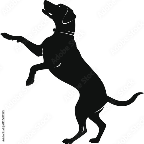 Dog standing on hind legs silhouette