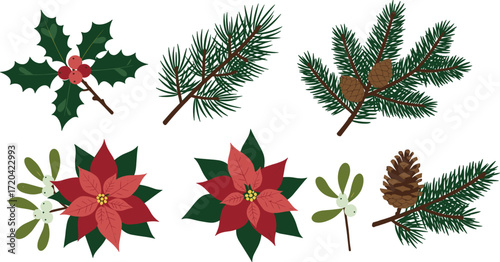 Christmas foliage: holly, pine, poinsettia, and mistletoe illustrations on transparent background
