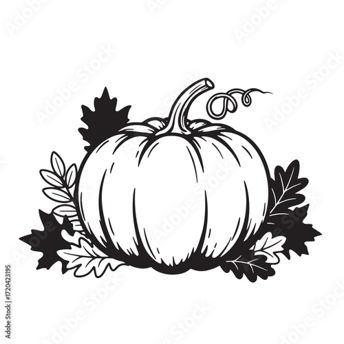 Black and white thanksgiving pumpkin illustration featuring leaves and a delicate vine tendril