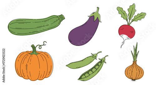 Illustration of six different vegetables: zucchini, eggplant, radish, pumpkin, peas, and onion on transparent background