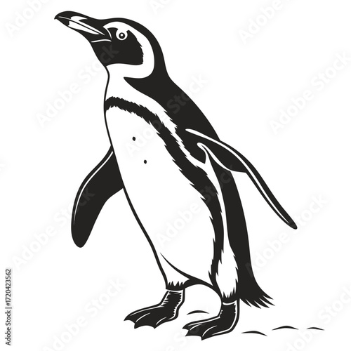 Penguin tilting head upward silhouette