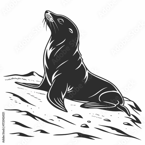 Seal pup lying on sandy beach silhouette