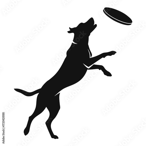 Dog catching frisbee mid-air silhouette