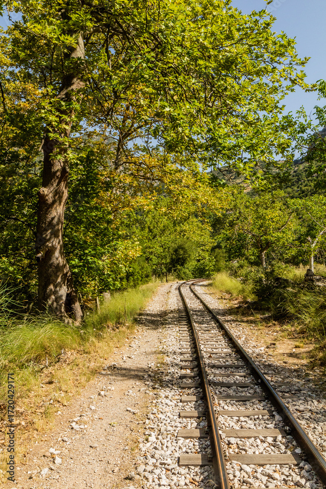 Fototapeta premium Narrow gauge Odontotos railway in Vouraikos Gorge on Peloponnese peninsula, Greece.