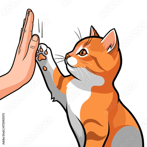 Playful Orange and White Kitten Giving High Five to a Hand.