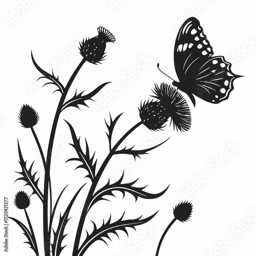 Butterfly landing on thistle silhouette