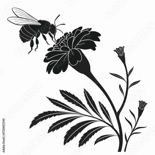 Bee hovering above marigold silhouette