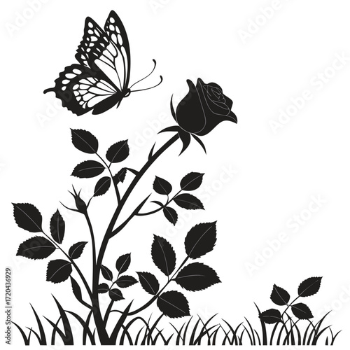 Butterfly hovering above rose bush silhouette