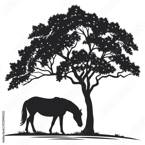 Horse grazing under tree silhouette