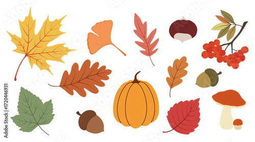 Collection of various autumn elements including colorful leaves, pumpkin, acorns, berries, chestnut, and mushrooms on white.